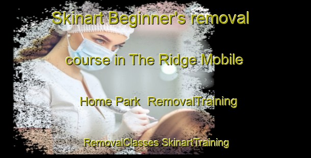 Skinart Beginner's removal course in The Ridge Mobile Home Park | #RemovalTraining #RemovalClasses #SkinartTraining-United States