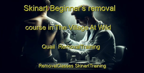 Skinart Beginner's removal course in The Village At Wild Quail | #RemovalTraining #RemovalClasses #SkinartTraining-United States