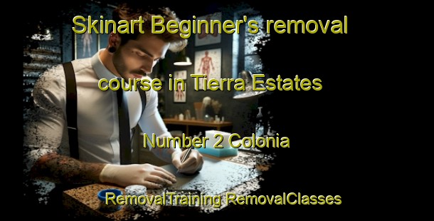 Skinart Beginner's removal course in Tierra Estates Number 2 Colonia | #RemovalTraining #RemovalClasses #SkinartTraining-United States