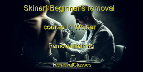 Skinart Beginner's removal course in Weiser | RemovalTraining | RemovalClasses | SkinartTraining-United States