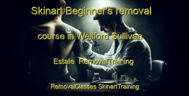 Skinart Beginner's removal course in Wellford Sullivan Estate | #RemovalTraining #RemovalClasses #SkinartTraining-United States