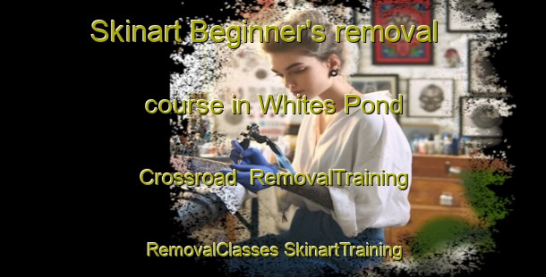 Skinart Beginner's removal course in Whites Pond Crossroad | #RemovalTraining #RemovalClasses #SkinartTraining-United States