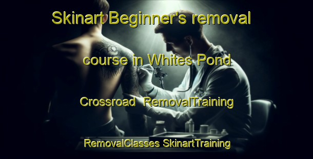 Skinart Beginner's removal course in Whites Pond Crossroad | #RemovalTraining #RemovalClasses #SkinartTraining-United States