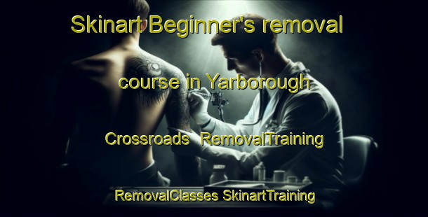 Skinart Beginner's removal course in Yarborough Crossroads | #RemovalTraining #RemovalClasses #SkinartTraining-United States