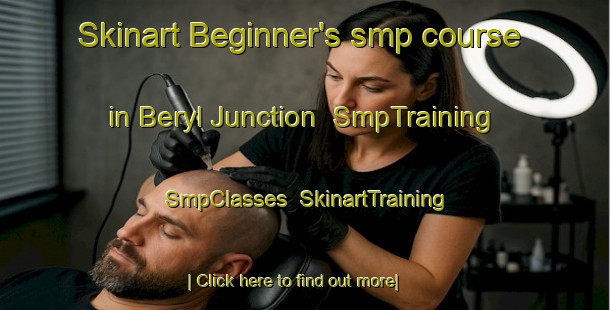 Skinart Beginner's smp course in Beryl Junction | SmpTraining | SmpClasses | SkinartTraining-United States