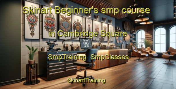 Skinart Beginner's smp course in Cambridge Square | SmpTraining | SmpClasses | SkinartTraining-United States