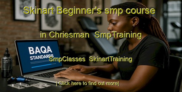 Skinart Beginner's smp course in Chriesman | SmpTraining | SmpClasses | SkinartTraining-United States