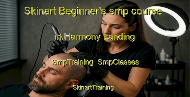 Skinart Beginner's smp course in Harmony Landing | SmpTraining | SmpClasses | SkinartTraining-United States