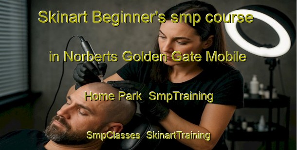 Skinart Beginner's smp course in Norberts Golden Gate Mobile Home Park | SmpTraining | SmpClasses | SkinartTraining-United States