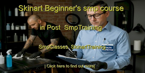 Skinart Beginner's smp course in Post | SmpTraining | SmpClasses | SkinartTraining-United States