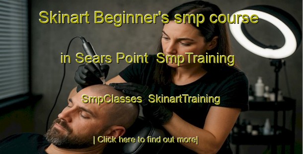 Skinart Beginner's smp course in Sears Point | SmpTraining | SmpClasses | SkinartTraining-United States