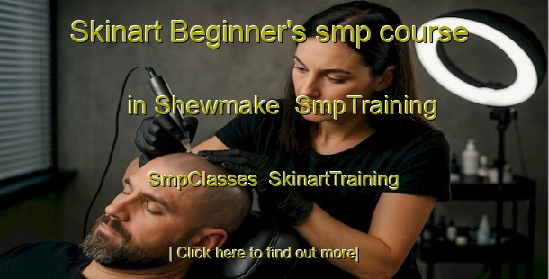Skinart Beginner's smp course in Shewmake | SmpTraining | SmpClasses | SkinartTraining-United States