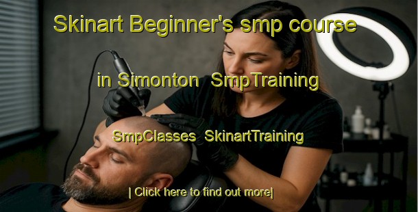 Skinart Beginner's smp course in Simonton | SmpTraining | SmpClasses | SkinartTraining-United States