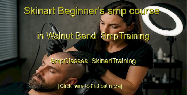 Skinart Beginner's smp course in Walnut Bend | SmpTraining | SmpClasses | SkinartTraining-United States