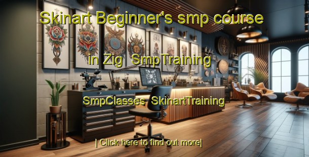 Skinart Beginner's smp course in Zig | SmpTraining | SmpClasses | SkinartTraining-United States