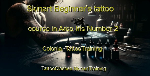 Skinart Beginner's tattoo course in Arco Iris Number 2 Colonia | #TattooTraining #TattooClasses #SkinartTraining-United States