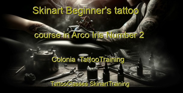 Skinart Beginner's tattoo course in Arco Iris Number 2 Colonia | #TattooTraining #TattooClasses #SkinartTraining-United States