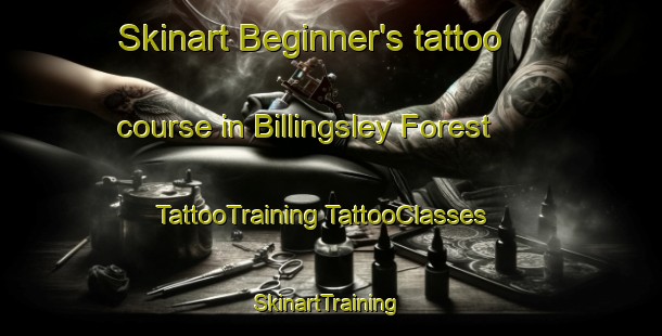 Skinart Beginner's tattoo course in Billingsley Forest | #TattooTraining #TattooClasses #SkinartTraining-United States