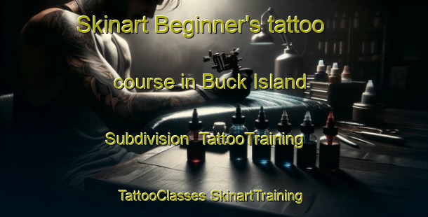 Skinart Beginner's tattoo course in Buck Island Subdivision | #TattooTraining #TattooClasses #SkinartTraining-United States