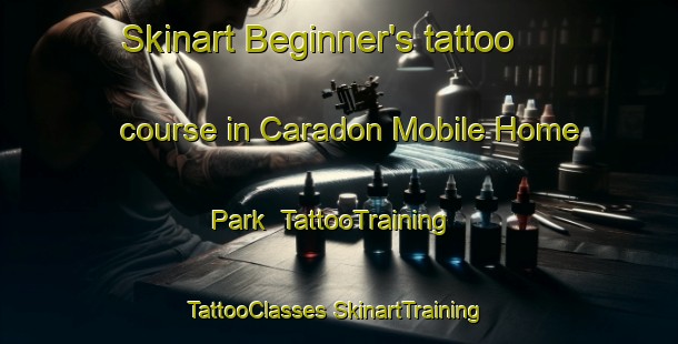 Skinart Beginner's tattoo course in Caradon Mobile Home Park | #TattooTraining #TattooClasses #SkinartTraining-United States