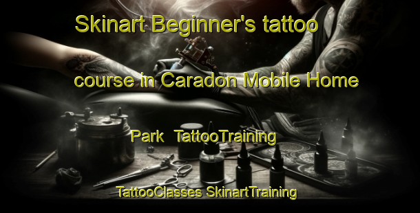 Skinart Beginner's tattoo course in Caradon Mobile Home Park | #TattooTraining #TattooClasses #SkinartTraining-United States