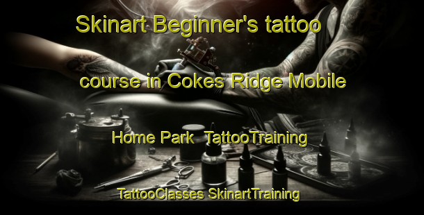 Skinart Beginner's tattoo course in Cokes Ridge Mobile Home Park | #TattooTraining #TattooClasses #SkinartTraining-United States