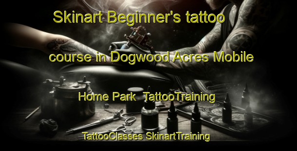 Skinart Beginner's tattoo course in Dogwood Acres Mobile Home Park | #TattooTraining #TattooClasses #SkinartTraining-United States