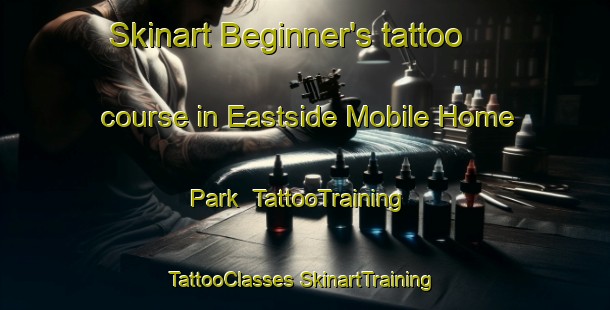 Skinart Beginner's tattoo course in Eastside Mobile Home Park | #TattooTraining #TattooClasses #SkinartTraining-United States