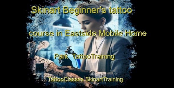 Skinart Beginner's tattoo course in Eastside Mobile Home Park | #TattooTraining #TattooClasses #SkinartTraining-United States