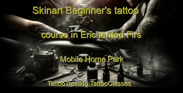 Skinart Beginner's tattoo course in Enchanted Firs Mobile Home Park | #TattooTraining #TattooClasses #SkinartTraining-United States