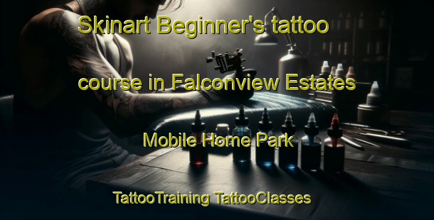 Skinart Beginner's tattoo course in Falconview Estates Mobile Home Park | #TattooTraining #TattooClasses #SkinartTraining-United States