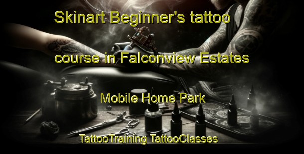 Skinart Beginner's tattoo course in Falconview Estates Mobile Home Park | #TattooTraining #TattooClasses #SkinartTraining-United States