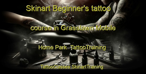 Skinart Beginner's tattoo course in Grasslawn Mobile Home Park | #TattooTraining #TattooClasses #SkinartTraining-United States