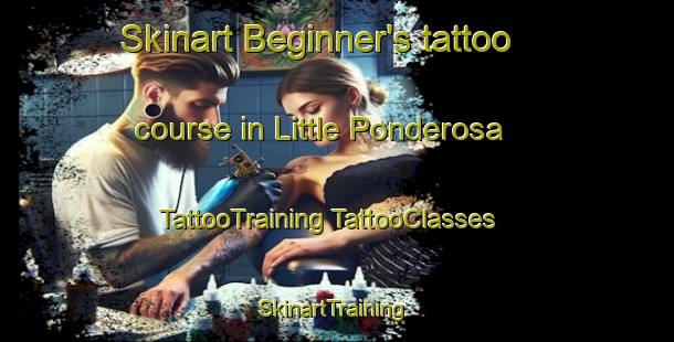 Skinart Beginner's tattoo course in Little Ponderosa | #TattooTraining #TattooClasses #SkinartTraining-United States