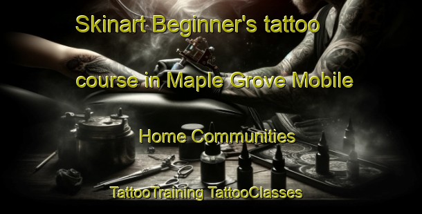 Skinart Beginner's tattoo course in Maple Grove Mobile Home Communities | #TattooTraining #TattooClasses #SkinartTraining-United States