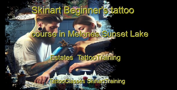 Skinart Beginner's tattoo course in Melones Sunset Lake Estates | #TattooTraining #TattooClasses #SkinartTraining-United States