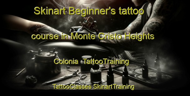 Skinart Beginner's tattoo course in Monte Cristo Heights Colonia | #TattooTraining #TattooClasses #SkinartTraining-United States