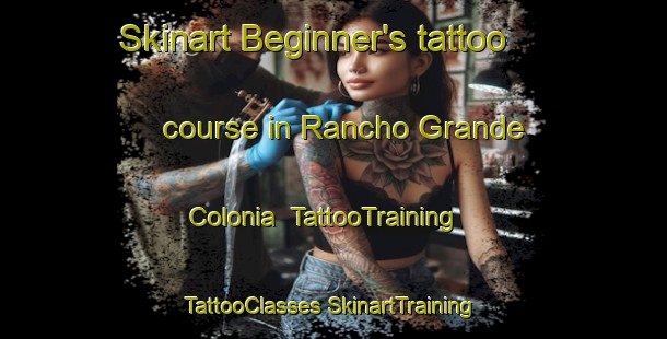 Skinart Beginner's tattoo course in Rancho Grande Colonia | #TattooTraining #TattooClasses #SkinartTraining-United States