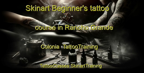 Skinart Beginner's tattoo course in Rancho Grande Colonia | #TattooTraining #TattooClasses #SkinartTraining-United States