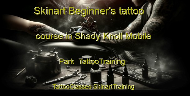 Skinart Beginner's tattoo course in Shady Knoll Mobile Park | #TattooTraining #TattooClasses #SkinartTraining-United States