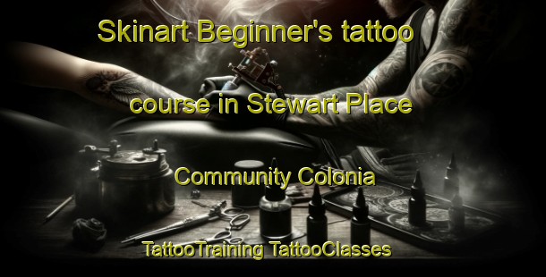 Skinart Beginner's tattoo course in Stewart Place Community Colonia | #TattooTraining #TattooClasses #SkinartTraining-United States