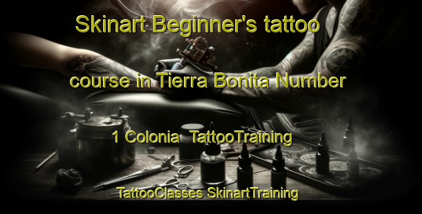 Skinart Beginner's tattoo course in Tierra Bonita Number 1 Colonia | #TattooTraining #TattooClasses #SkinartTraining-United States