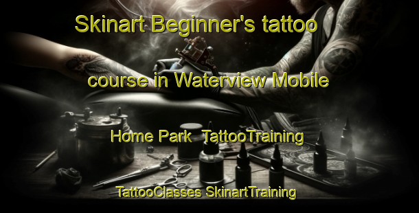 Skinart Beginner's tattoo course in Waterview Mobile Home Park | #TattooTraining #TattooClasses #SkinartTraining-United States