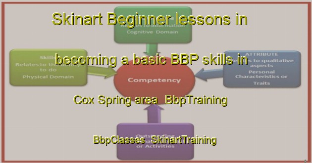 Skinart Beginner lessons in becoming a basic BBP skills in Cox Spring area | BbpTraining | BbpClasses | SkinartTraining-United States
