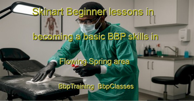 Skinart Beginner lessons in becoming a basic BBP skills in Flowing Spring area | BbpTraining | BbpClasses | SkinartTraining-United States