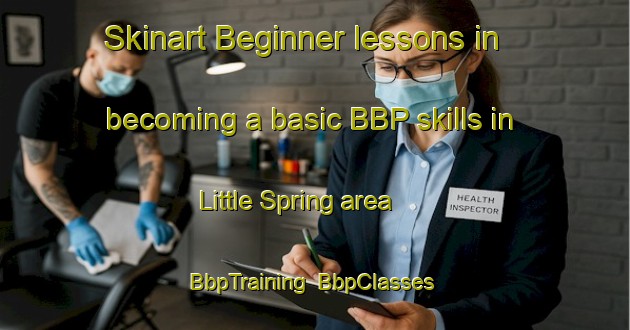 Skinart Beginner lessons in becoming a basic BBP skills in Little Spring area | BbpTraining | BbpClasses | SkinartTraining-United States