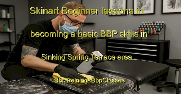 Skinart Beginner lessons in becoming a basic BBP skills in Sinking Spring Terrace area | BbpTraining | BbpClasses | SkinartTraining-United States