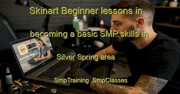 Skinart Beginner lessons in becoming a basic SMP skills in Silver Spring area | SmpTraining | SmpClasses | SkinartTraining-United States