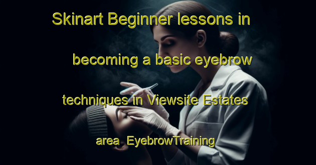 Skinart Beginner lessons in becoming a basic eyebrow techniques in Viewsite Estates area | EyebrowTraining | EyebrowClasses | SkinartTraining-United States