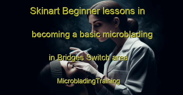 Skinart Beginner lessons in becoming a basic microblading in Bridges Switch area | MicrobladingTraining | MicrobladingClasses | SkinartTraining-United States